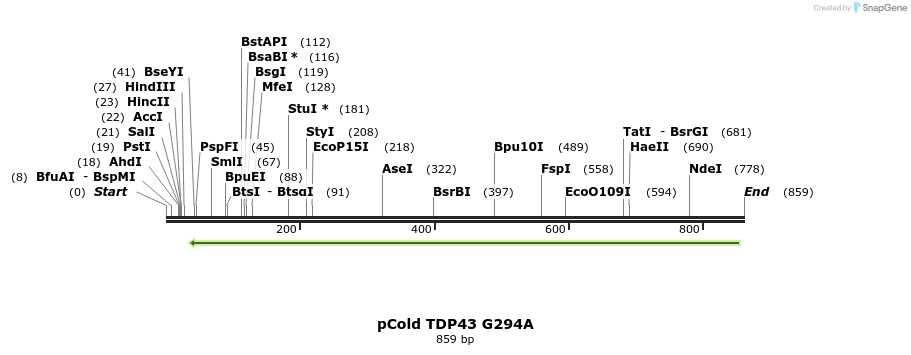33790_map