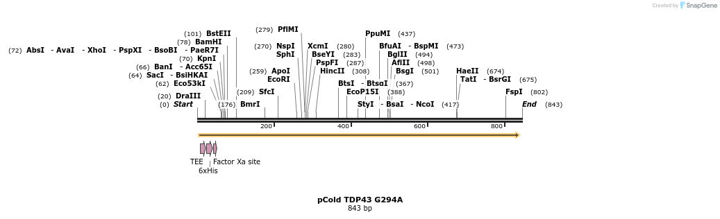 33791_map
