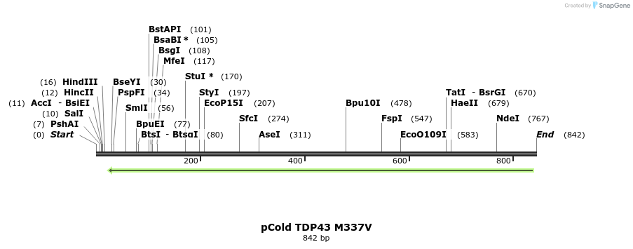 33792_map
