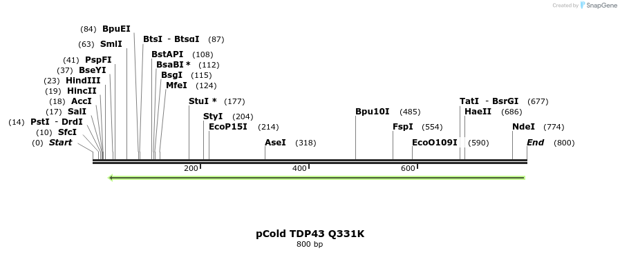 33794_map