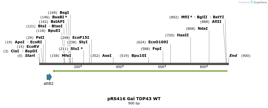 33796_map
