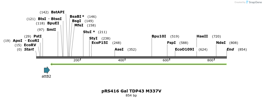 33798_map