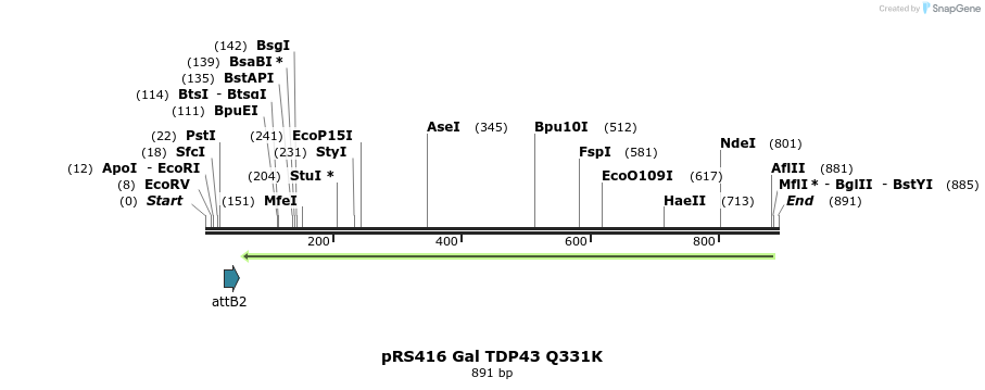33799_map