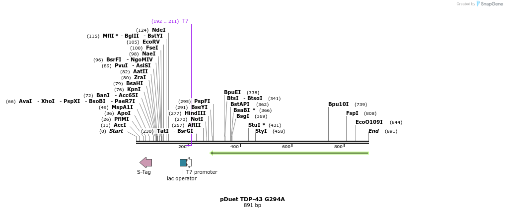 33801_map