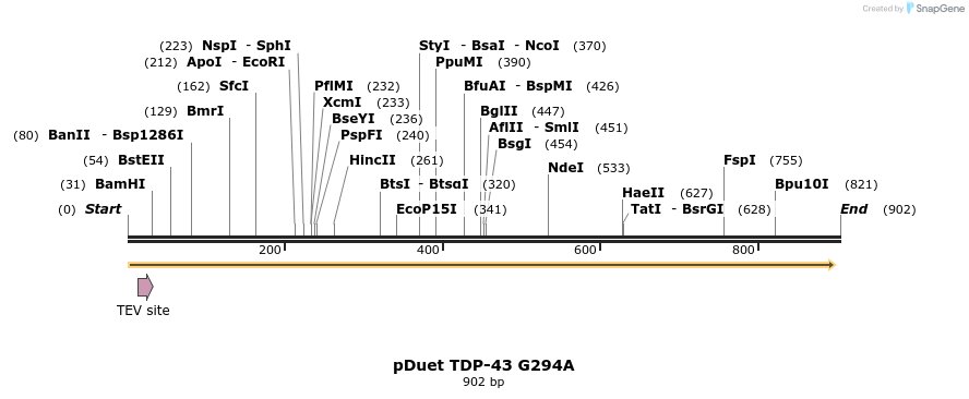 33802_map