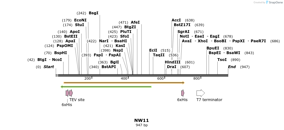 338045_map