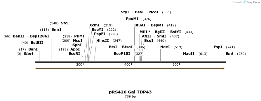 33807_map