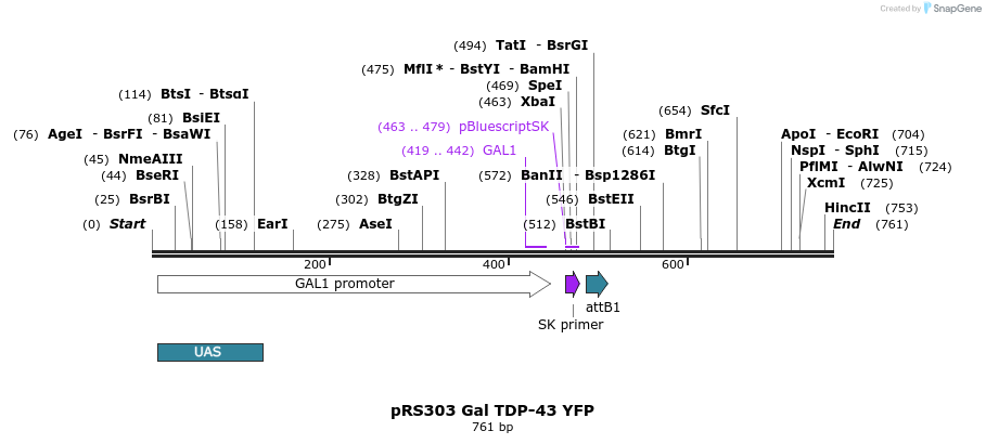 33810_map