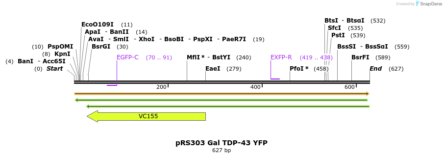 33811_map