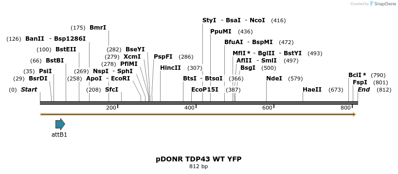 33812_map