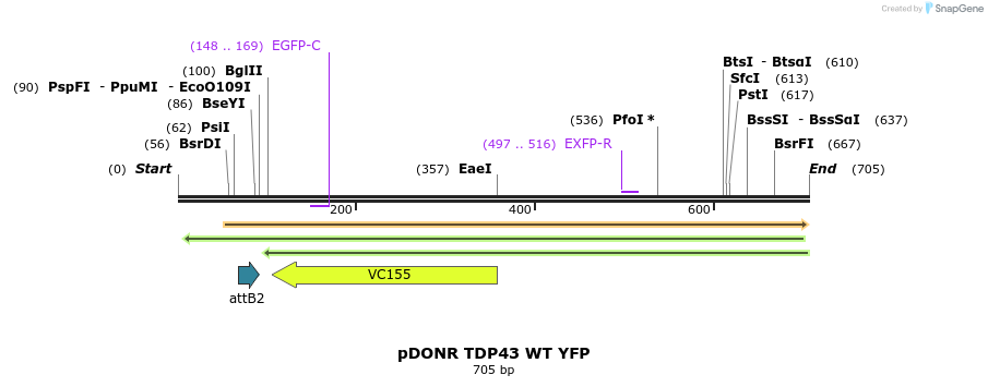 33813_map