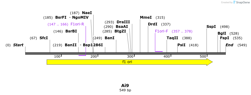 338152_map
