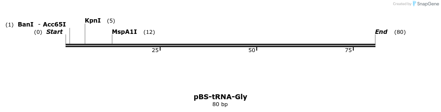 338172_map