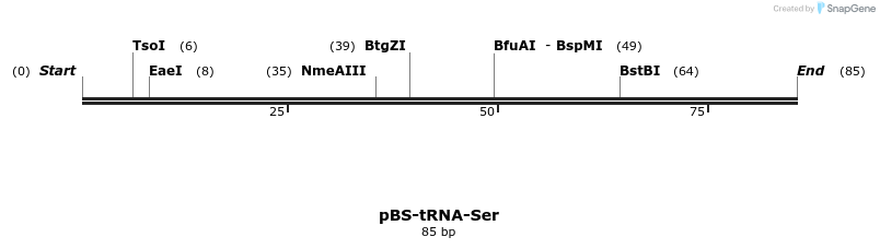 338173_map