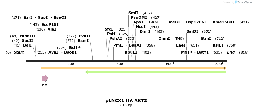33818_map
