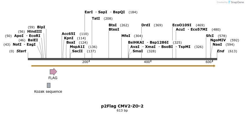 33820_map