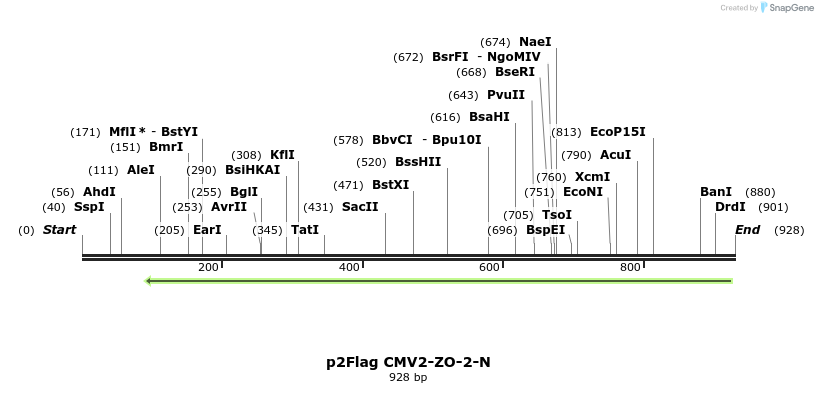 33824_map