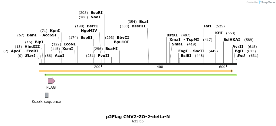 33826_map