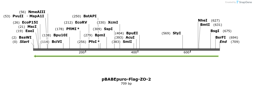 33828_map