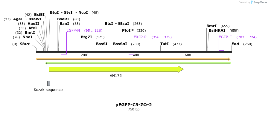 33831_map