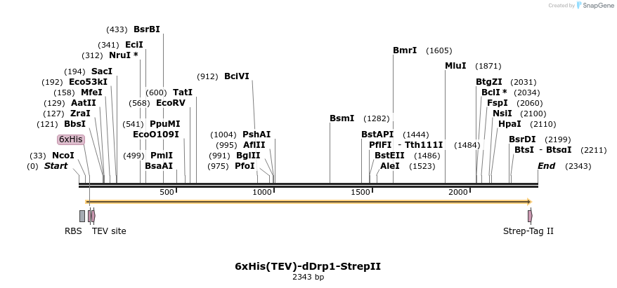 338389_map