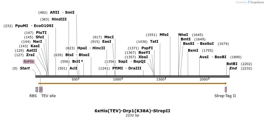 338391_map