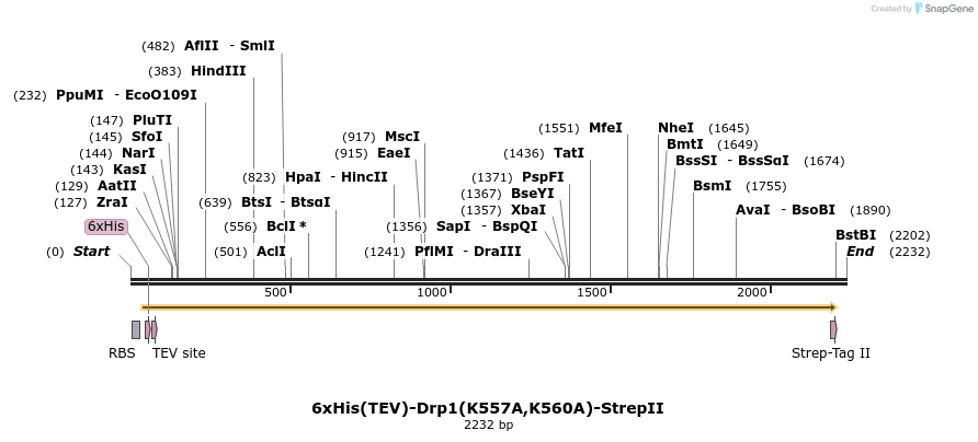 338393_map