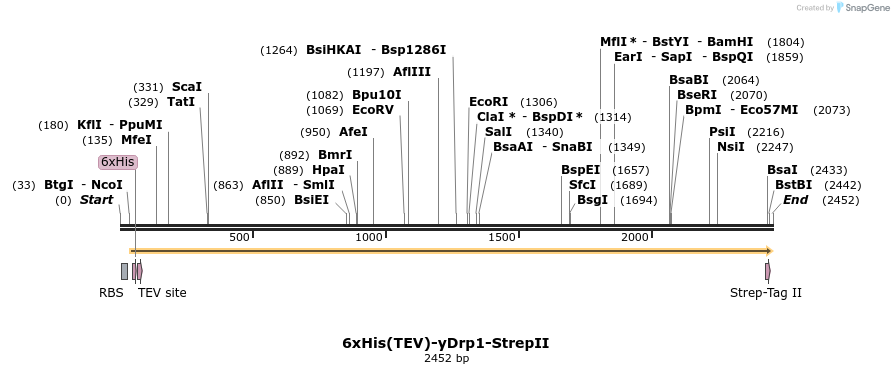 338395_map