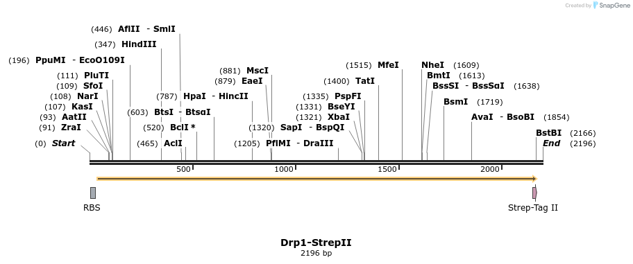 338396_map