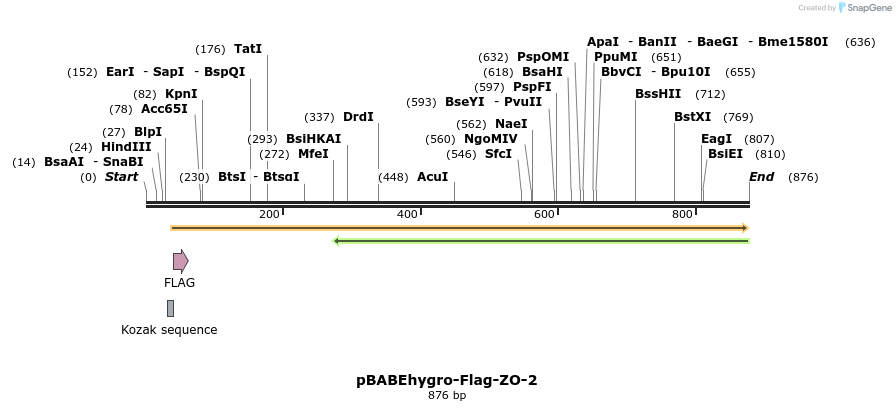 33840_map