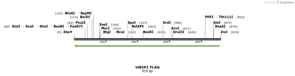33846_map