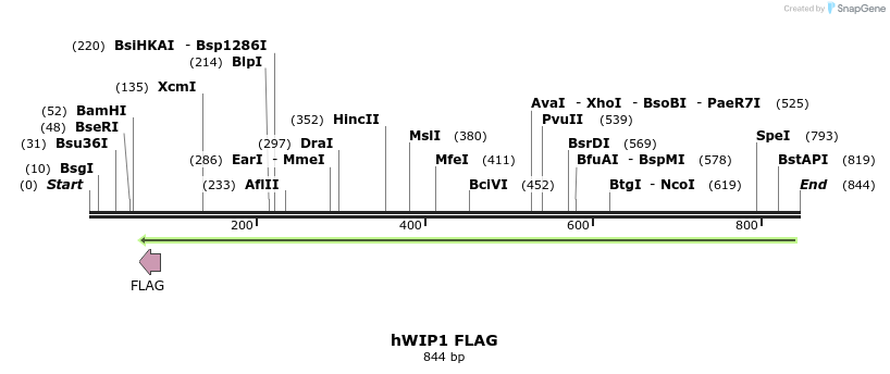 33847_map