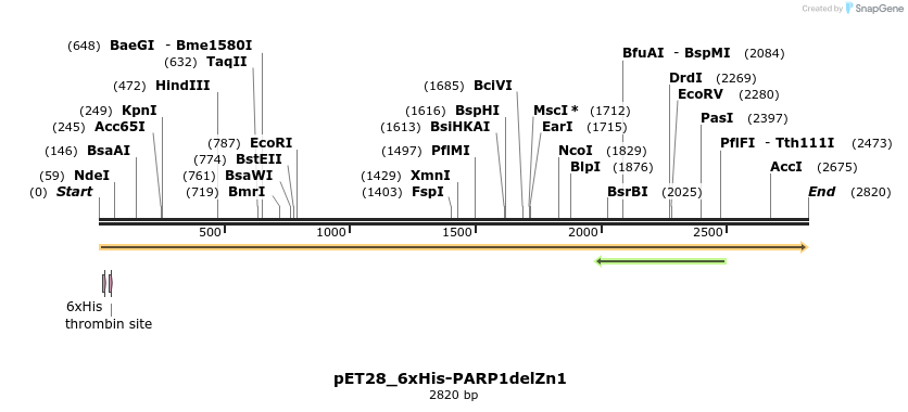 338487_map