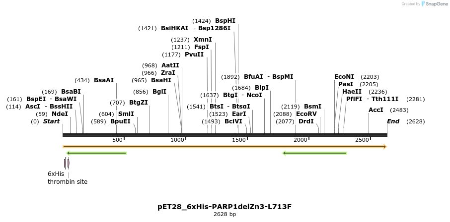 338488_map