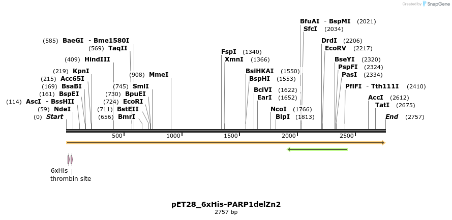 338489_map