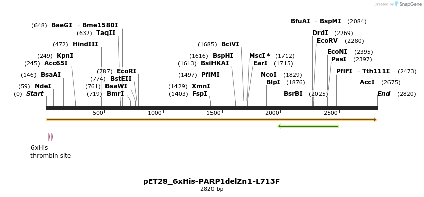 338494_map