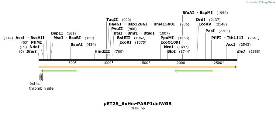 338497_map