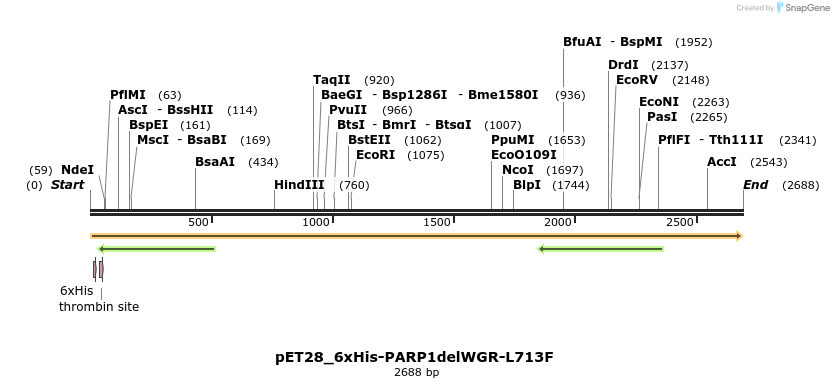 338499_map