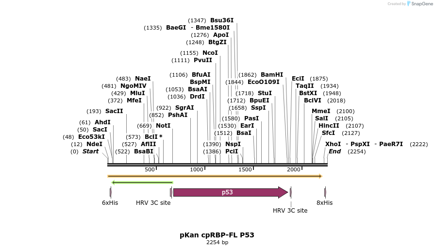 338519_map