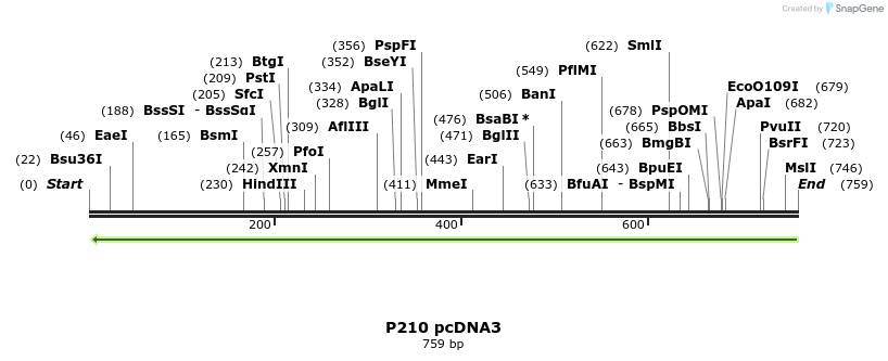 33853_map