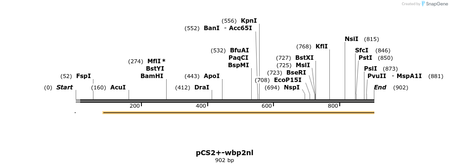 338557_map