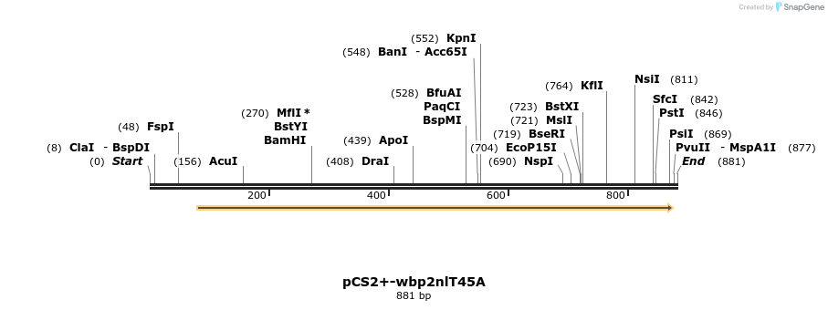 338559_map