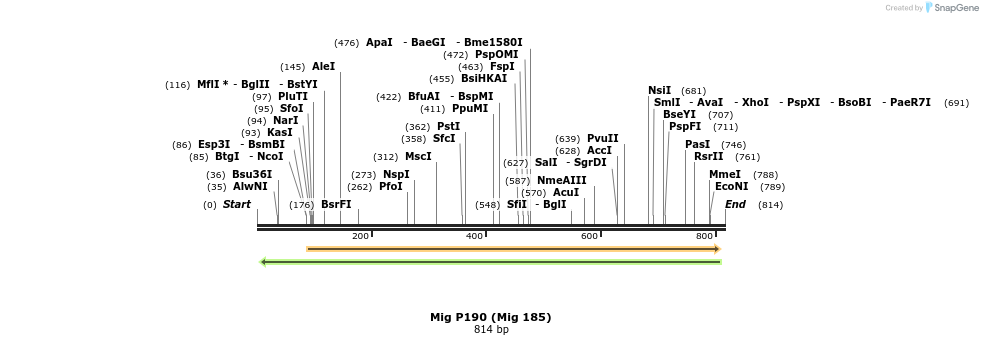 33856_map