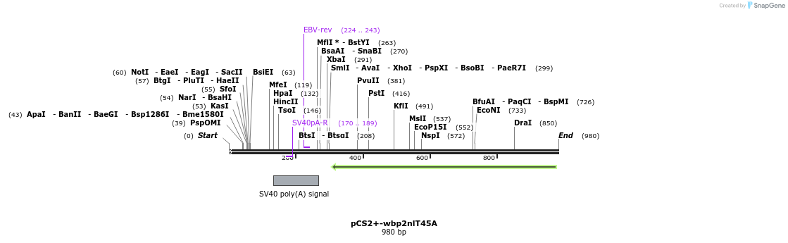 338560_map