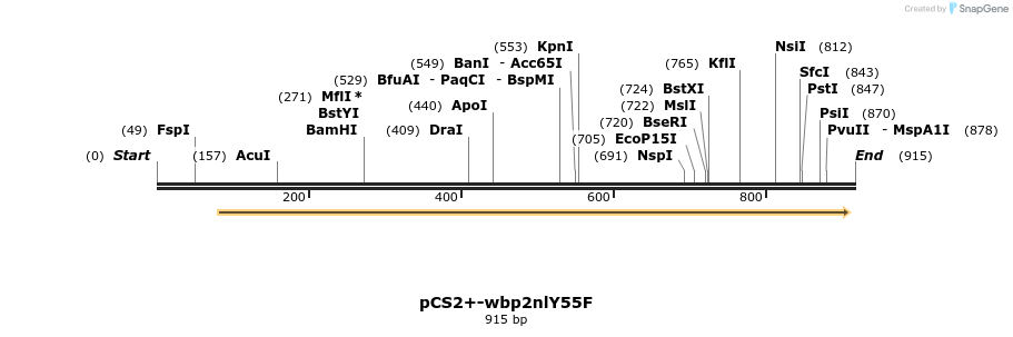 338568_map