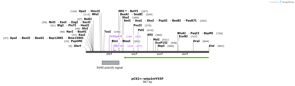 338569_map