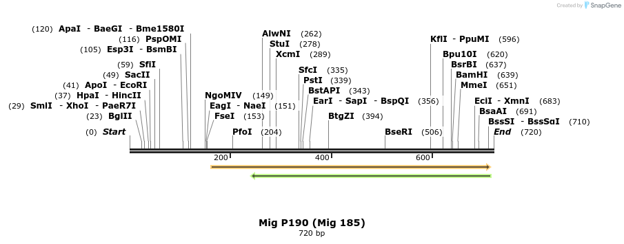33857_map