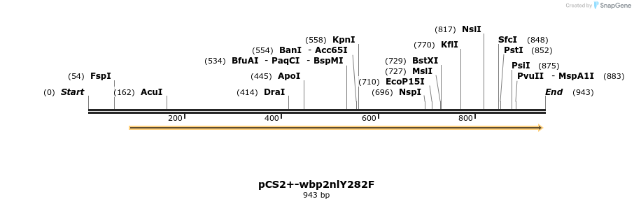 338572_map