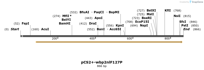 338577_map