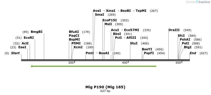 33858_map